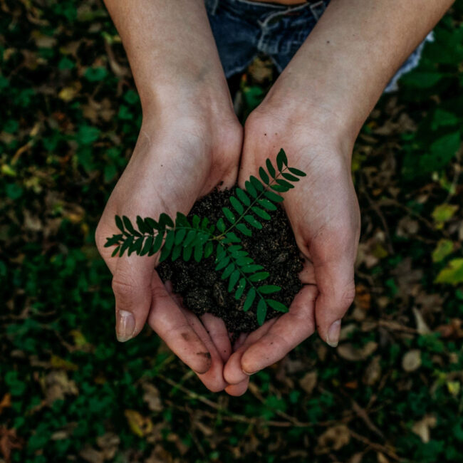 stencil.instagram-photo – 2024-06-29T103623.933 Planning an Eco-friendly Funeral – Part 1